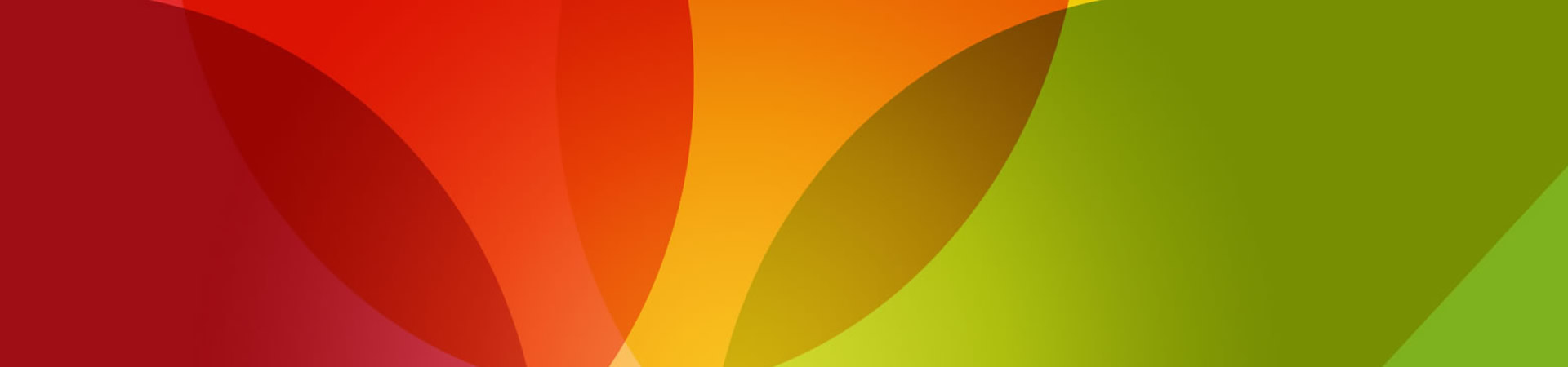 Website Design Company
